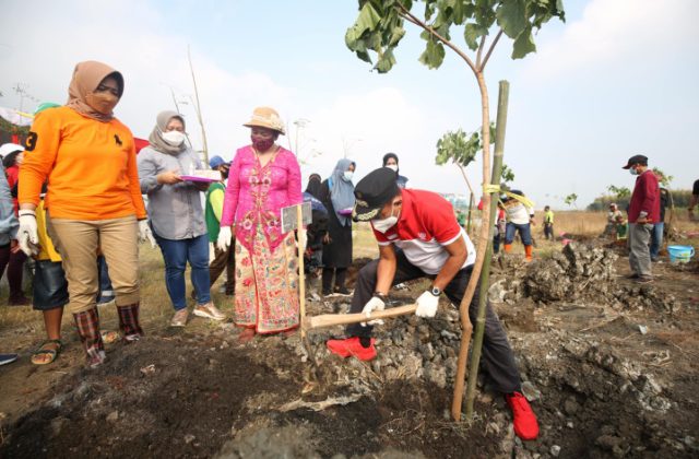 Wakil wali kota Surabaya Armudji saat melakukan penanaman pohon dikawasan TPA bung tomo