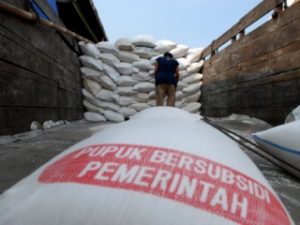 Alokasi Pupuk Bersubsidi Di Jatim Turun
