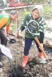 Bangun Hutan Kota dikawasan Lontar