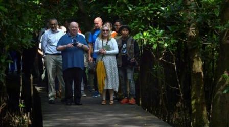 Wali Kota Liverpool Hunting Foto Diwisata Mangrove