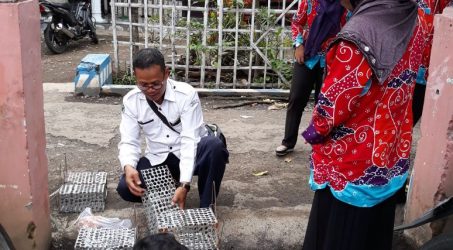 Dua Warga Probolinggo Tewas Akibat Penyakit Kencing Tikus