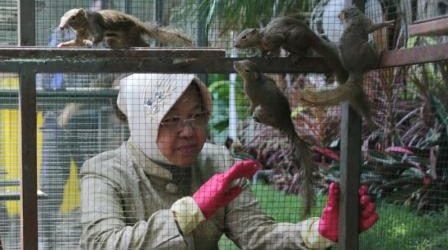 Jaga Keanekaragaman Hayati, Ratusan Tupai Dilepasliarkan di Area Balai Kota Surabaya