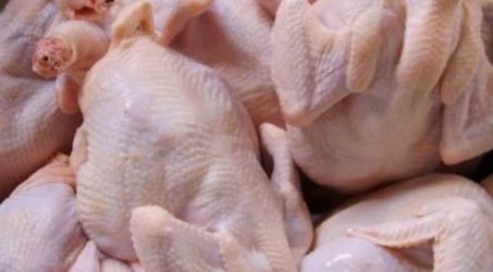 Harga Ayam Potong di Probolinggo Masih Tinggi