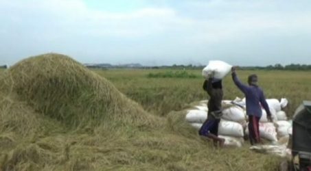 Stok Beras di Bangkalan Aman Saat Ramadhan dan Idul Fitri