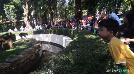 Kebun Binatang Surabaya diserbu Ribuan Wisatawan