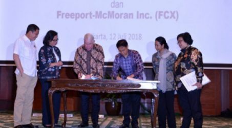 KLHK Minta Freeport Lebih Perhatikan Lingkungan