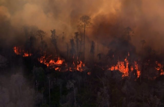 Kebun Tebu di Pamekasan Ludes Terbakar