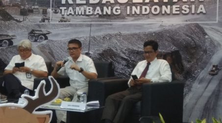 Pendanaan Divestasi Freeport Seluruhnya Dilakukan Bank Asing