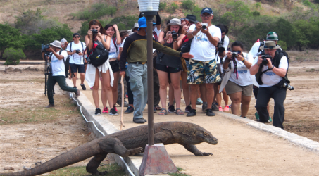 Dikelola Pusat, Pemprov NTT minta ambil bagian kelola wisata Komodo