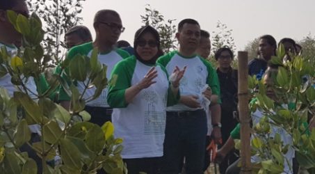 Dukung Pelestarian Lingkungan PPRO Tanam 21 Ribu Mangrove 