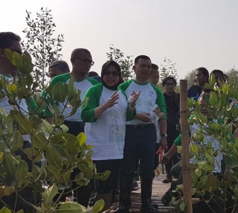 Dukung Pelestarian Lingkungan PPRO Tanam 21 Ribu Mangrove 
