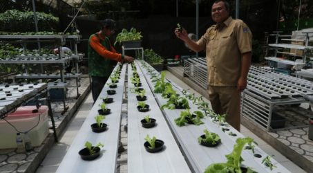 Liburan, Yuuuk Ke Mini Agrowisata Pemkot