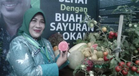 (DP3) Sidoarjo Kembangkan Agrowisata Jambu