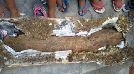 Warga Ngawi Temukan Gading Gajah Purba 120 sentimeter