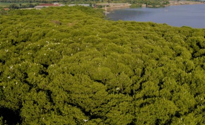 Tiket Masuk Ekowisata Kampung Blekok Situbondo Gunakan Sampah Plastik