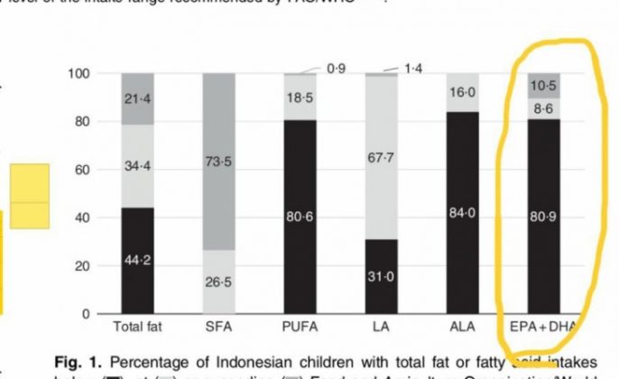 Riset: Lebih dari 80 Persen Anak Indonesia Kekurangan DHA
