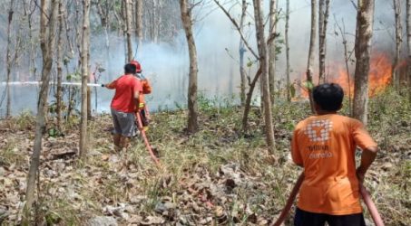 El Nino datang, KLHK mulai antisipasi karhutla