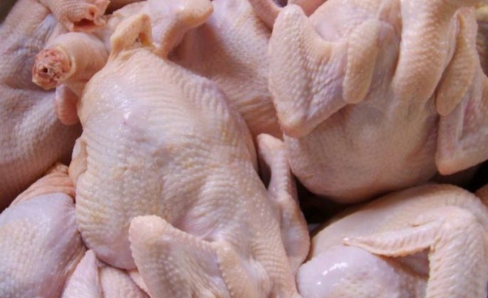 Daging dan Telur Ayam Berwarna Pucat, Begini Penjelasannya