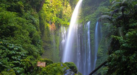 Dampak Gempa, Wisata Air Terjun Tiu Kelep dan Air Terjun Sindang Gile NTB Tutup