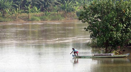 Kondisi Bengawan Solo di Hilir Jatim Aman