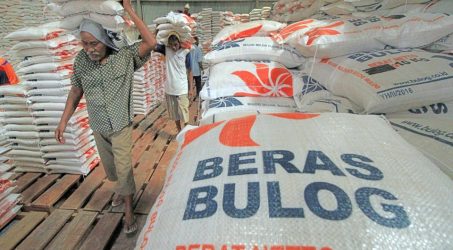 Bulog Siapkan Anggaran Rp 10 Triliun untuk Serap Gabah dan Beras