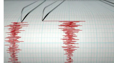 Gempa 4,3 pada skala Richter guncang Sorong