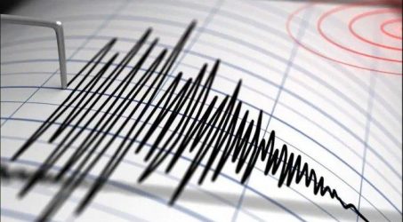 Tak Berpotensi Tsunami, Blangpidie Aceh diguncang Gempa 5,0 SR