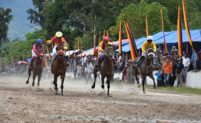 Budayawan Minang : Tradisi pacu kuda alami pergeseran cara pandang