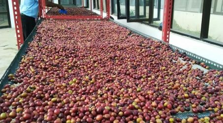 UB Forest dorong inovasi produk kopi bernilai tambah tinggi