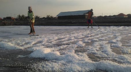 Bertemu Gubernur, Petani Berharap Garam Ditetapkan Sebagai Bahan Kebutuhan Pokok
