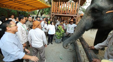 Kembangkan PDTS KBS, Pemkot Berencana Tambah Akses Masuk dan Satwa