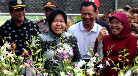Taman Anggrek Mampu jadi Akses Ekonomi Warga Eks Lokalisasi