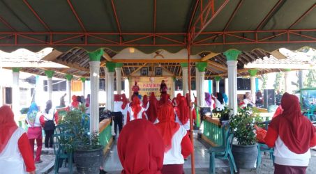 Dinpora dan TNI AD ajak Ibu PKK Senam Kebugaran