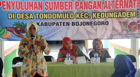 Kader PKK diajarkan Ciptakan Ketahanan Pangan Keluarga