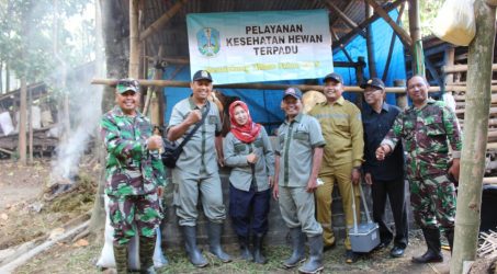 Satgas dan Dinas Peternakan Pemprov Jatim di Banyuwangi Gelar Penyuluhan Hewan Ternak