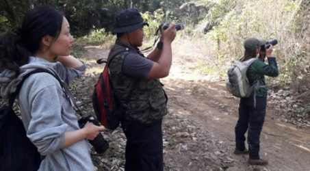 Tingginya Pemburuan Satwa Liar disesalkan PROFAUNA