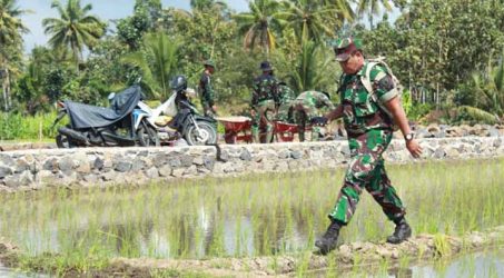 Setiap Hari Satgas TMMD 105 Banyuwangi Susuri Medan Dengan Jalan Kaki