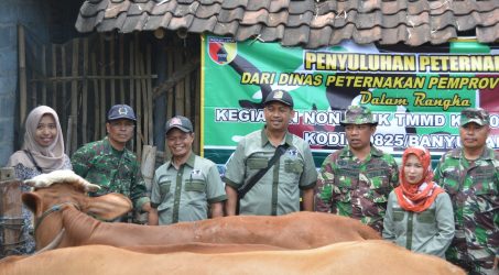 Gandeng Dinas Peternakan, Satgas Rawat Ternak Sapi Milik Warga