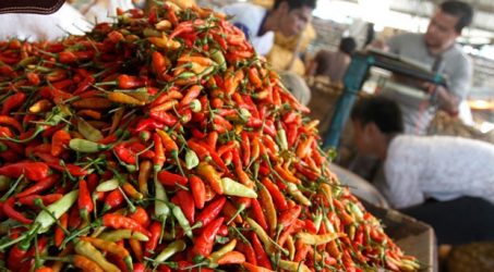 Naiknya Harga Cabe Rawit, Jadi Pemicu Inflasi di Kota Malang
