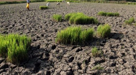 Sebanyak 59 desa di Gresik alami kesulitan air bersih