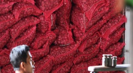 Panen demplot skala bawang merah di Nganjuk hasilkan lebih 20 ton/hektare