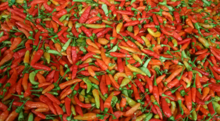 Kenaikan Harga Cabe Jadi Pemicu Inflasi Kota Madiun