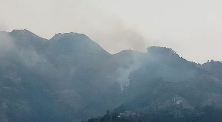 Lima Jalur Pendakian Gunung Merbabu Ditutup akibat Kebakaran Hutan