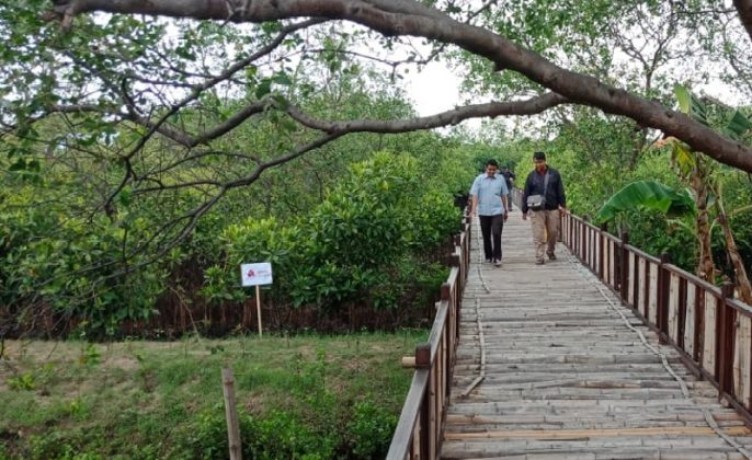 Pengawasan Dihutan Mangrove Wonorejo Diperketat