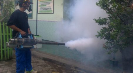 Dinkes Tulungagung Antisipasi Lonjakan Kasus DBD di peralihan Musim