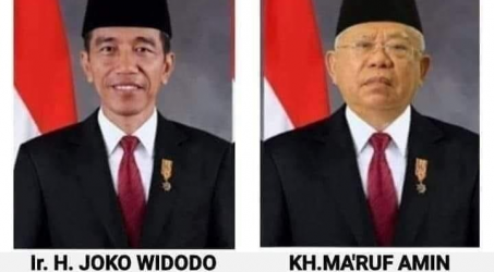 Kabinet Jokowi Kian Gemuk, Pengangkatan Wamen Ciptakan Matahari Kembar