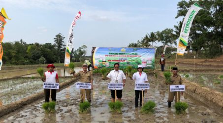 Petrokimia Gencarkan Kampanye Pemupukan Berimbang