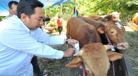 Cegah Pembuangan Limbah Kurban Kesungai, DLH Surabaya Sebar Petugas 