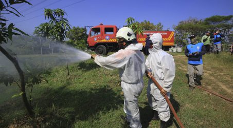 DKPP Surabaya Terapkan Protokol Kesehatan di Kawasan Tahura