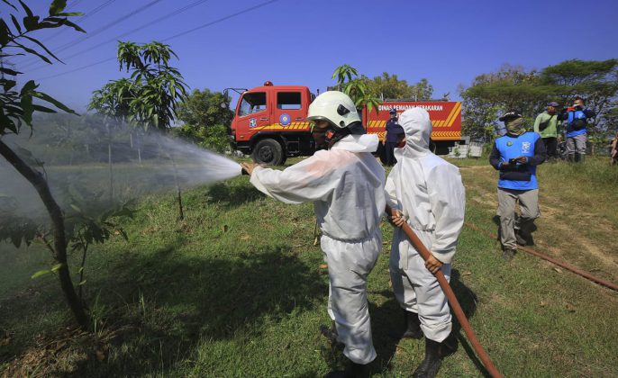 Gunakan APD - Petugas saat melakukan penyiraman tanaman di Hutan Kota Warugunung Surabaya